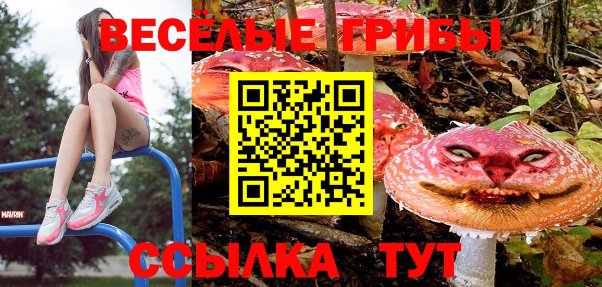A-PVP Кинель